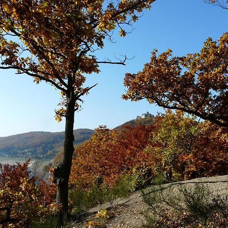 Belvedere - Das Bio Hotel Garni & Suitehotel Am Edersee ! Unser Geschenk Fuer Sie, Auch Die Gaestecard Grimmheimat! فالديك المظهر الخارجي الصورة
