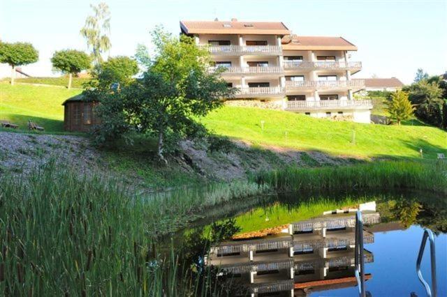 Belvedere - Das Bio Hotel Garni & Suitehotel Am Edersee ! Unser Geschenk Fuer Sie, Auch Die Gaestecard Grimmheimat! فالديك المظهر الخارجي الصورة