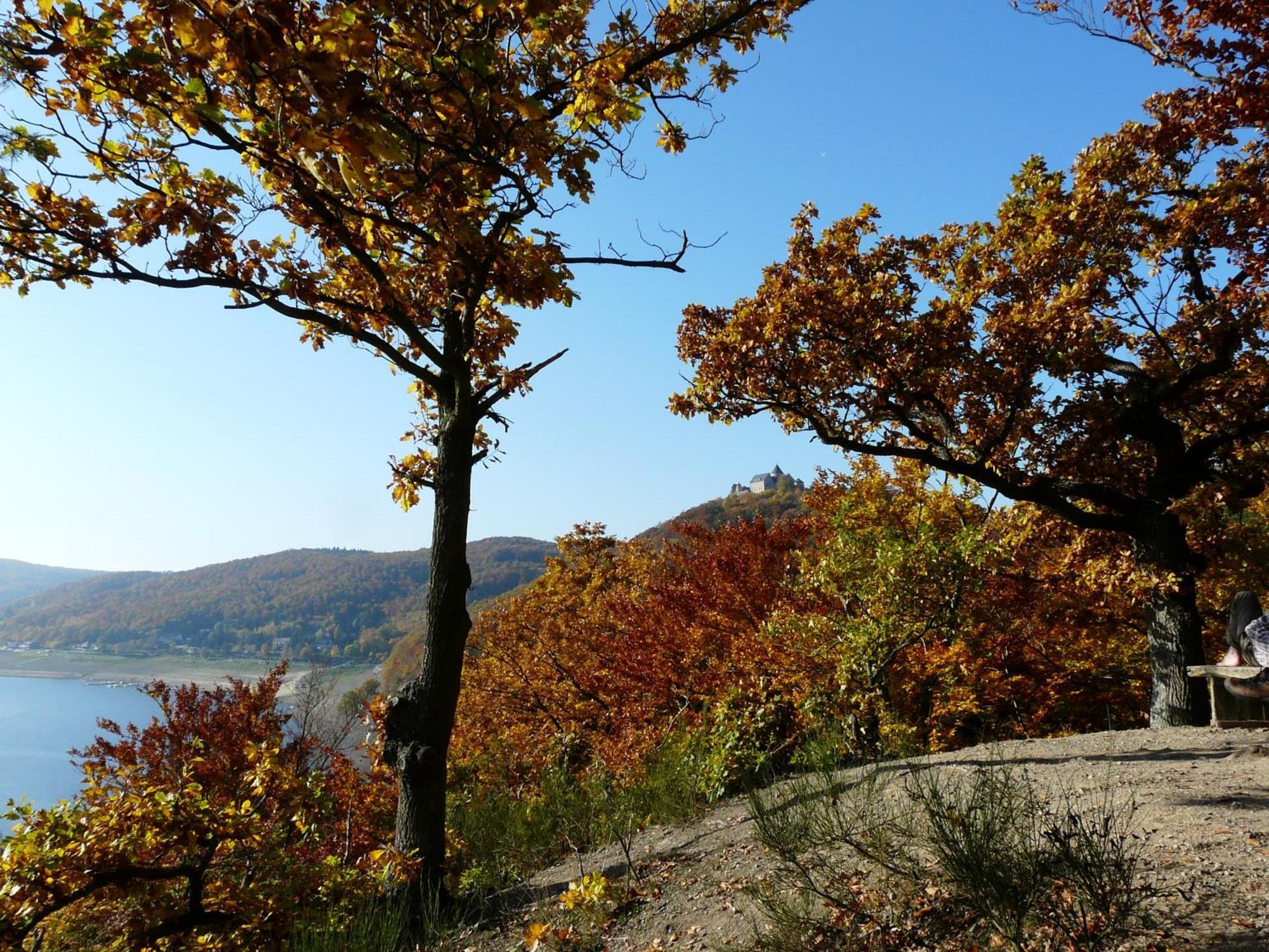 Belvedere - Das Bio Hotel Garni & Suitehotel Am Edersee ! Unser Geschenk Fuer Sie, Auch Die Gaestecard Grimmheimat! فالديك المظهر الخارجي الصورة