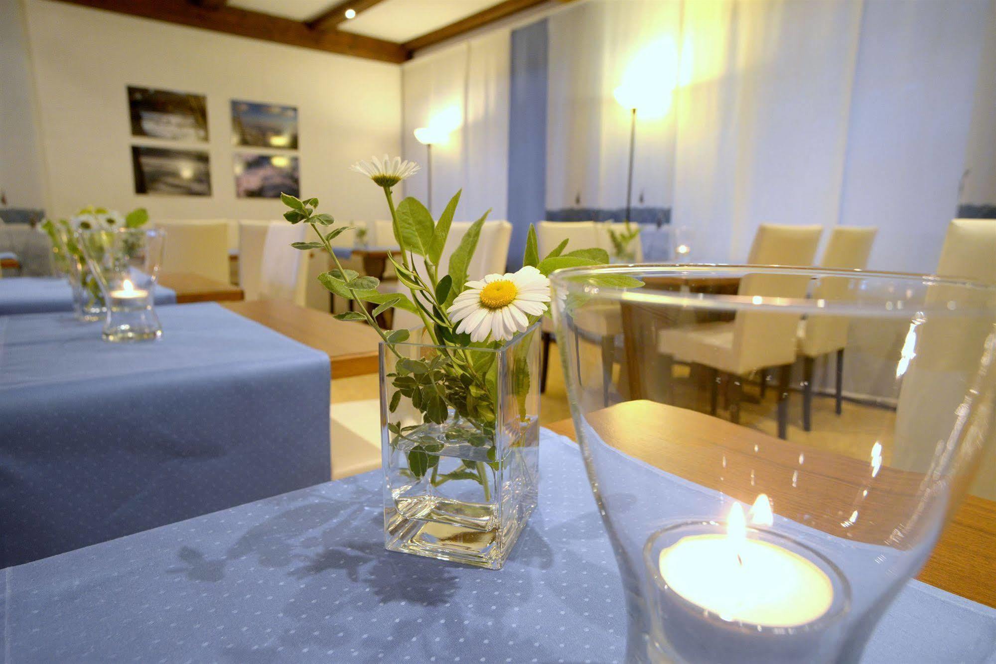 Belvedere - Das Bio Hotel Garni & Suitehotel Am Edersee ! Unser Geschenk Fuer Sie, Auch Die Gaestecard Grimmheimat! فالديك المظهر الخارجي الصورة